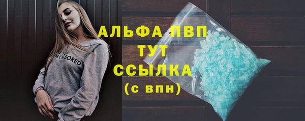 прущие крисы Новодвинск