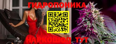 МДПВ Заволжье