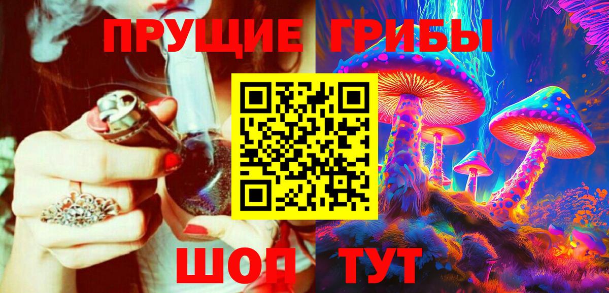 Псилоцибиновые грибы Psilocybe Кириши