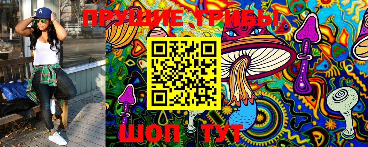 Кириши  Галлюциногенные грибы MAGIC MUSHROOMS  Вход с VPN 