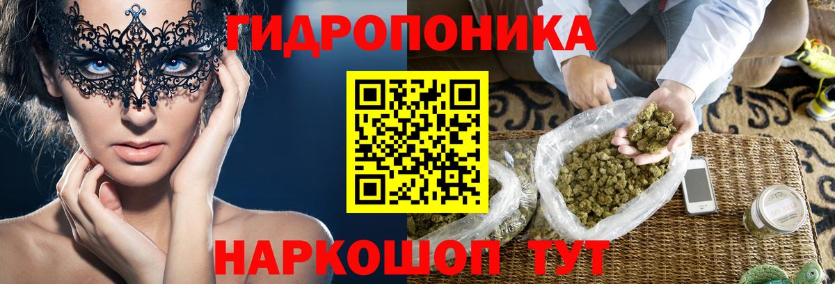 МАРИХУАНА Ganja  Марихуана сатива  Канабис семена  Кириши  Вход с VPN 